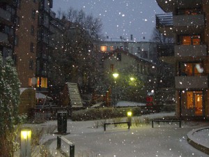 Snow in Oslo - November 2008